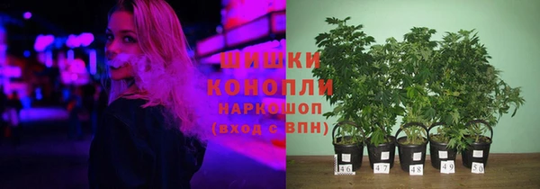 винт Слюдянка
