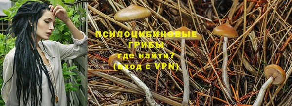 mdpv Бронницы