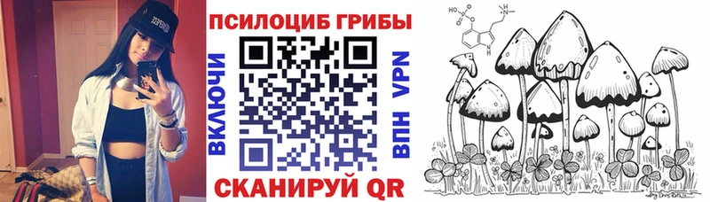 Псилоцибиновые грибы мухоморы  Будённовск 