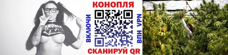 Марихуана план  где купить наркоту  Будённовск 